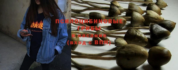 прущая мука Михайловск