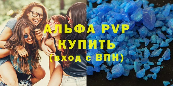 PSILOCYBIN Михайлов
