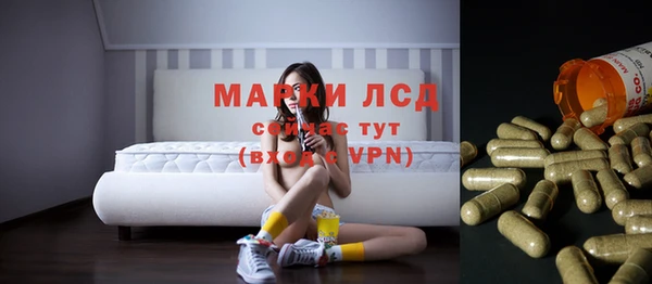 PSILOCYBIN Михайлов