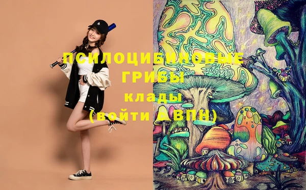 PSILOCYBIN Михайлов