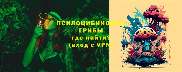 PSILOCYBIN Михайлов