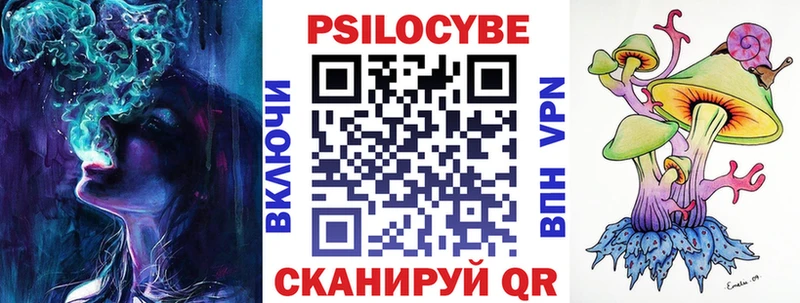 площадка формула Россошь Псилоцибиновые грибы Magic Shrooms
