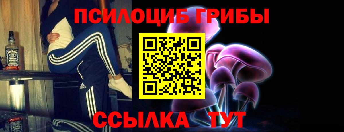 Галлюциногенные грибы GOLDEN TEACHER  Вход с VPN  Россошь  Галлюциногенные грибы MAGIC MUSHROOMS 